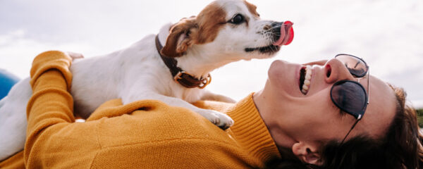 animaux de compagnie